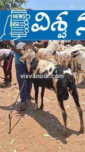 news_1779126399_1_134.webp news_1779126399_1_134.webp
